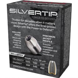 10MM WINCHESTER SILVERTIP 175GR, 20RD BOX