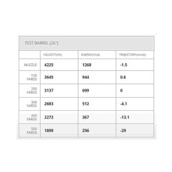 HORNADY SUPERFORMANCE 204 RUGER 32GR V-MAX, 20RD/BOX