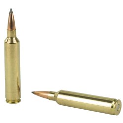 NOSLER TROPHY LONG RANGE 28 NOSLER 175GR ABLR, 20RD/BOX